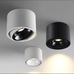 Plafonnier LED Angle Réglable